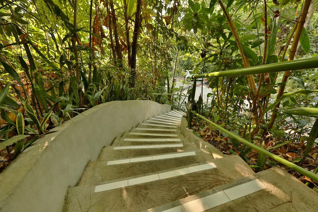 Ambong Rainforest Retreat Pantai Cenang  Exterior foto